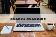 嘉实基金300_嘉实基金300基金