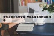 沈阳小额无抵押贷款_沈阳小额无抵押贷款利率