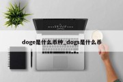 doge是什么币种_dogs是什么币