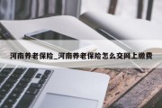 河南养老保险_河南养老保险怎么交网上缴费