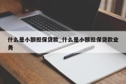 什么是小额担保贷款_什么是小额担保贷款业务