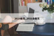 2025股灾_2021会股灾