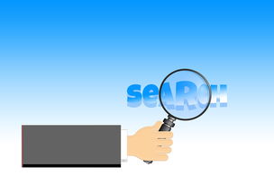 seo推广收费，网络优化提升品牌知名度