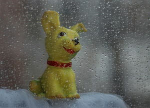 杭州梅雨季节(杭州梅雨季节是几月份到几月份结束)