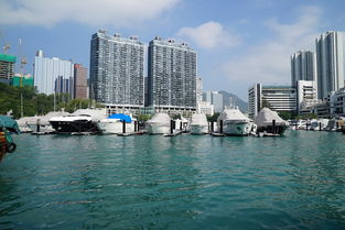 什么是深港通(什么叫深港通股票)