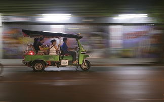旅游意外险买哪个公司(旅游意外险买哪个公司好)