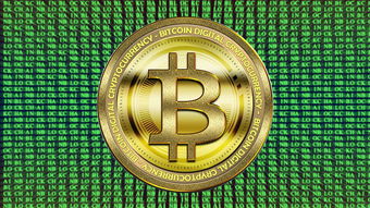 量子科技上市公司龙头(量子科技上市公司龙头股票排名)